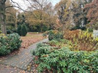 das zu löschende Bild