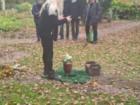 ein Bild aus dem Album