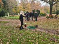 das zu meldende Bild