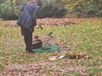 ein Bild aus dem Album