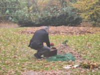 das zu meldende Bild