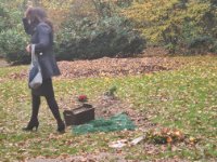 ein Bild aus dem Album