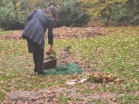 ein Bild aus dem Album