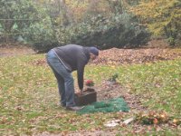 das zu löschende Bild