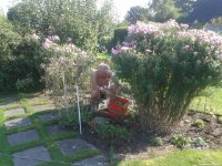 ein Bild aus dem Album