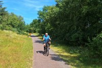 ein Bild aus dem Album